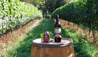 Vineyards - Wine