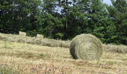 Small Farms - Hay